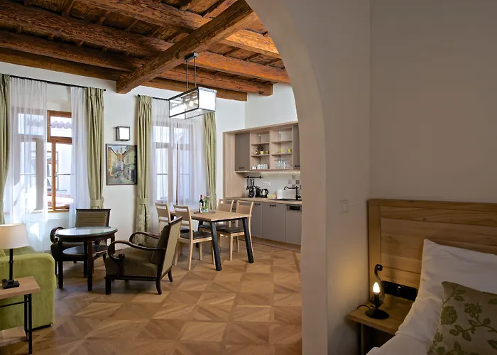 Apartments Residence U Mecenase